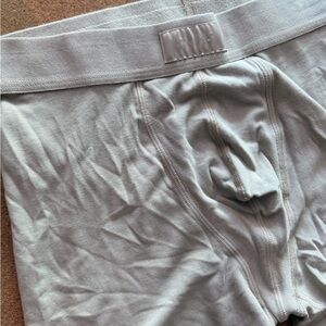 SKIMS Light gray Green Boxer Briefs